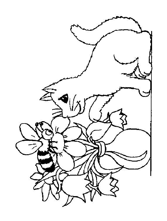 Plansa de colorat cu Pisica 63 82